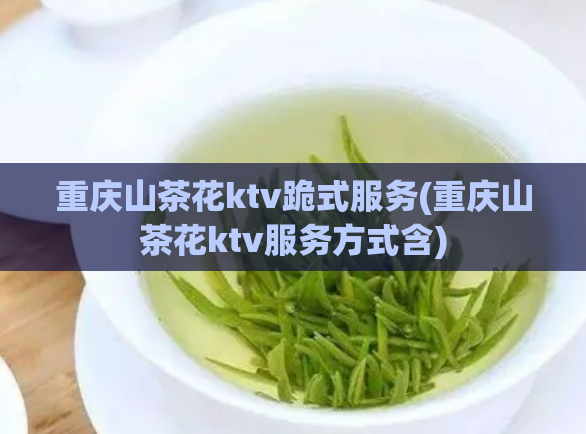 重庆山茶花ktv跪式服务(重庆山茶花ktv服务方式含)
