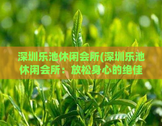 深圳乐池休闲会所(深圳乐池休闲会所：放松身心的绝佳去处)