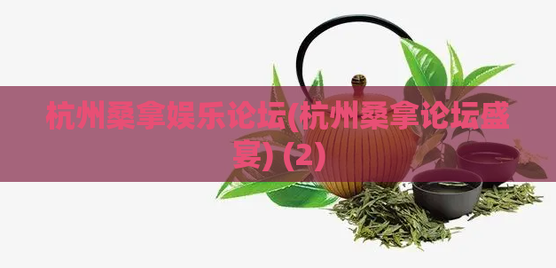杭州桑拿娱乐论坛(杭州桑拿论坛盛宴) (2)