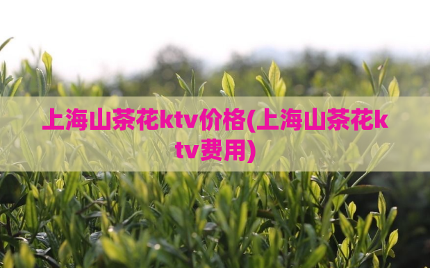 上海山茶花ktv价格(上海山茶花ktv费用)