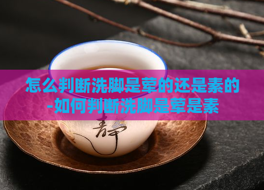 怎么判断洗脚是荤的还是素的-如何判断洗脚是荤是素