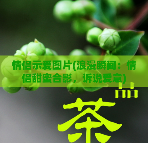 情侣示爱图片(浪漫瞬间:情侣甜蜜合影,诉说爱意)