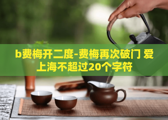 b费梅开二度-费梅再次破门 爱上海不超过20个字符