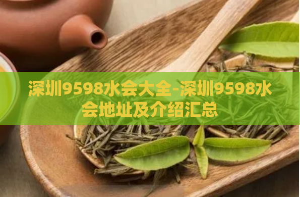 深圳9598水会大全-深圳9598水会地址及介绍汇总