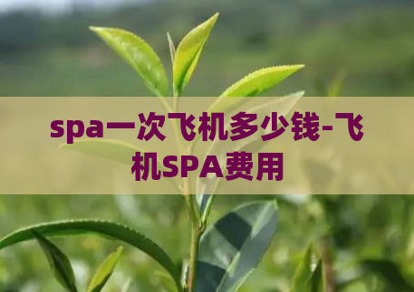 spa一次飞机多少钱-飞机SPA费用