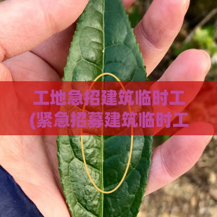 工地急招建筑临时工(紧急招募建筑临时工)