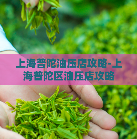 上海普陀油压店攻略-上海普陀区油压店攻略
