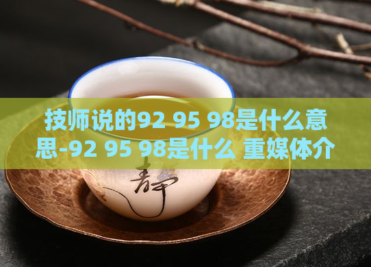 技师说的92 95 98是什么意思-92 95 98是什么 重媒体介绍汽车油品的技术级别