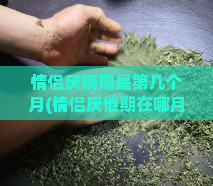 情侣厌烦期是第几个月(情侣厌倦期在哪月？)