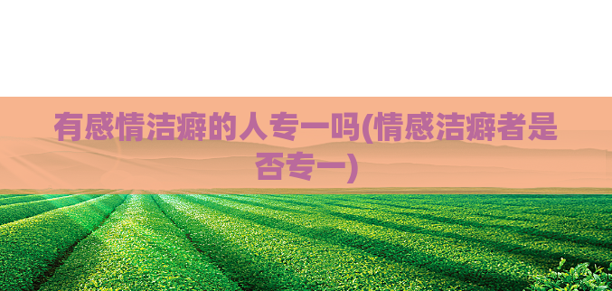 有感情洁癖的人专一吗(情感洁癖者是否专一)