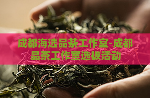 成都海选品茶工作室-成都品茶工作室选拔活动