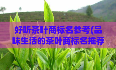 好听茶叶商标名参考(品味生活的茶叶商标名推荐，你不容错过！)