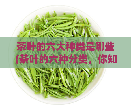 茶叶的六大种类是哪些(茶叶的六种分类，你知道吗？)