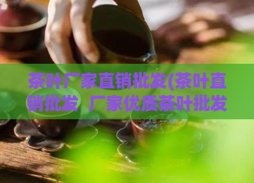 茶叶厂家直销批发(茶叶直销批发  厂家优质茶叶批发价直降)