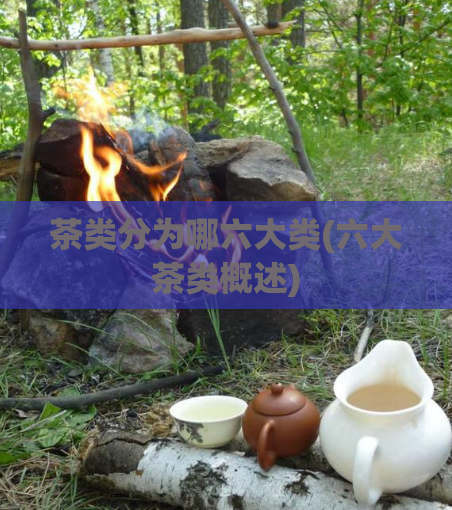 茶类分为哪六大类(六大茶类概述)