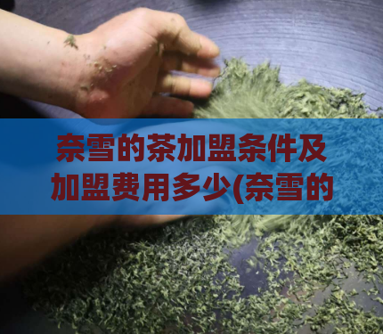 奈雪的茶加盟条件及加盟费用多少(奈雪的茶加盟:加盟条件及费用分析)