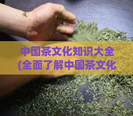 中国茶文化知识大全(全面了解中国茶文化，一文解析知识大全)