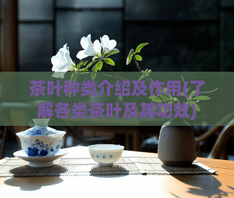 茶叶种类介绍及作用(了解各类茶叶及其功效)