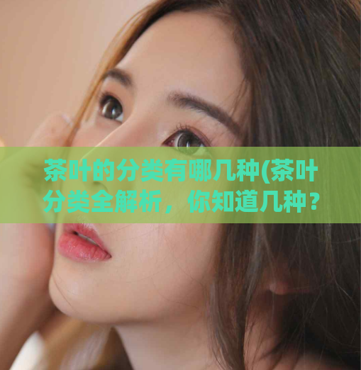 茶叶的分类有哪几种(茶叶分类全解析，你知道几种？)