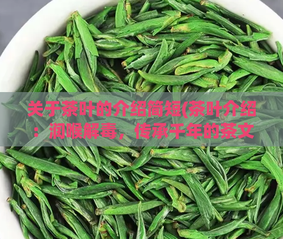 关于茶叶的介绍简短(茶叶介绍：润喉解毒，传承千年的茶文化)