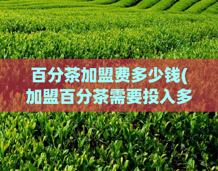 百分茶加盟费多少钱(加盟百分茶需要投入多少费用？)