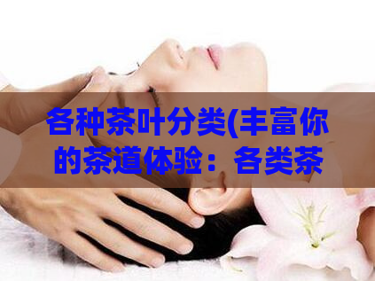 各种茶叶分类(丰富你的茶道体验：各类茶叶大全！)