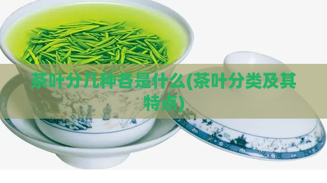茶叶分几种各是什么(茶叶分类及其特点)