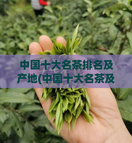 中国十大名茶排名及产地(中国十大名茶及其产地排名大揭秘!)