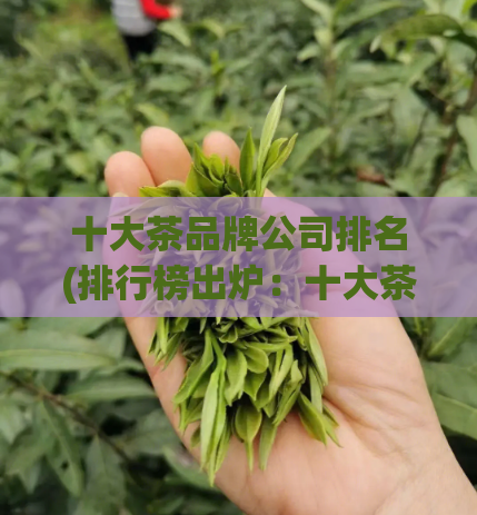十大茶品牌公司排名(排行榜出炉：十大茶品牌公司你了解多少？)