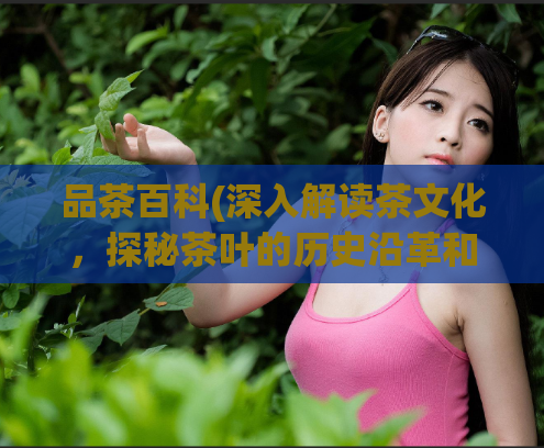 品茶百科(深入解读茶文化，探秘茶叶的历史沿革和种类特点)