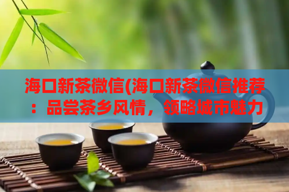 海口新茶微信(海口新茶微信推荐：品尝茶乡风情，领略城市魅力)