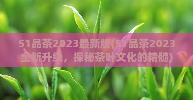 51品茶2023最新版(51品茶2023全新升级，探秘茶叶文化的精髓)