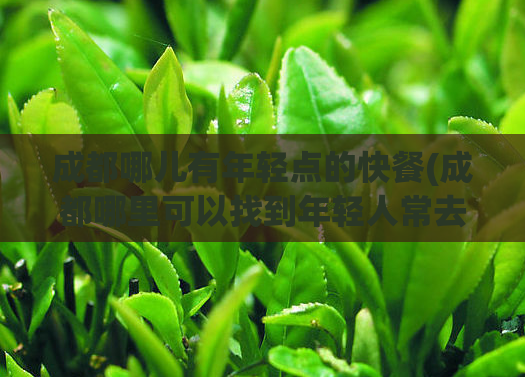 成都哪儿有年轻点的快餐(成都哪里可以找到年轻人常去的快餐店？)