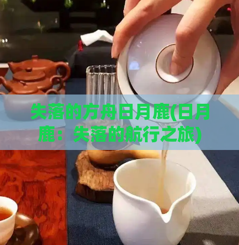 失落的方舟日月鹿(日月鹿：失落的航行之旅)