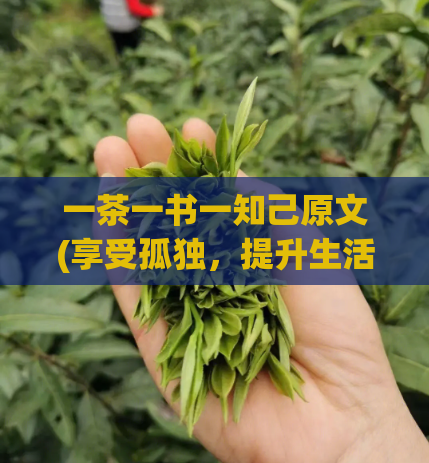 一茶一书一知己原文(享受孤独，提升生活质量——一茶一书你的知己)