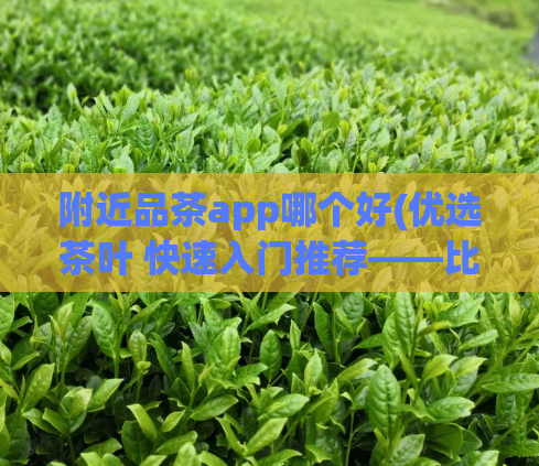 附近品茶app哪个好(优选茶叶 快速入门推荐——比一比茶道APP好不好)