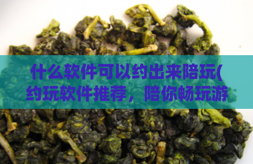 什么软件可以约出来陪玩(约玩软件推荐，陪你畅玩游戏不再孤单)