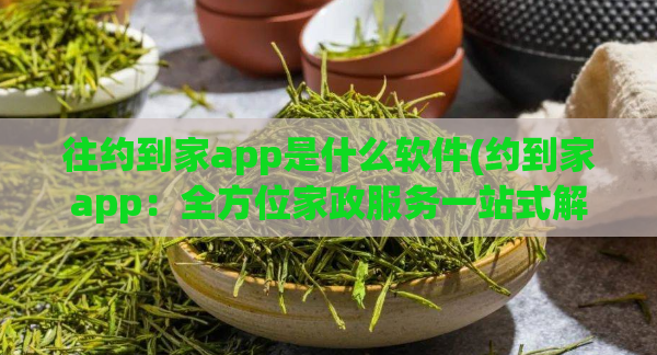 往约到家app是什么软件(约到家app：全方位家政服务一站式解决)