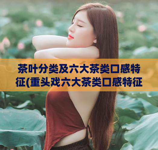 茶叶分类及六大茶类口感特征(重头戏六大茶类口感特征及分类指南)