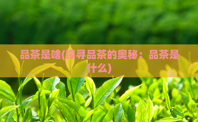 品茶是啥(探寻品茶的奥秘：品茶是什么)