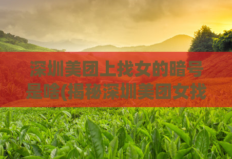 深圳美团上找女的暗号是啥(揭秘深圳美团女找对象暗号)
