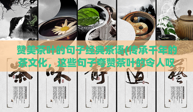 赞美茶叶的句子经典茶语(传承千年的茶文化，这些句子夸赞茶叶的令人叹为观止)