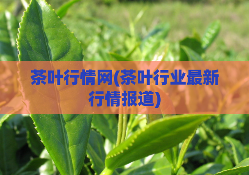 茶叶行情网(茶叶行业最新行情报道)