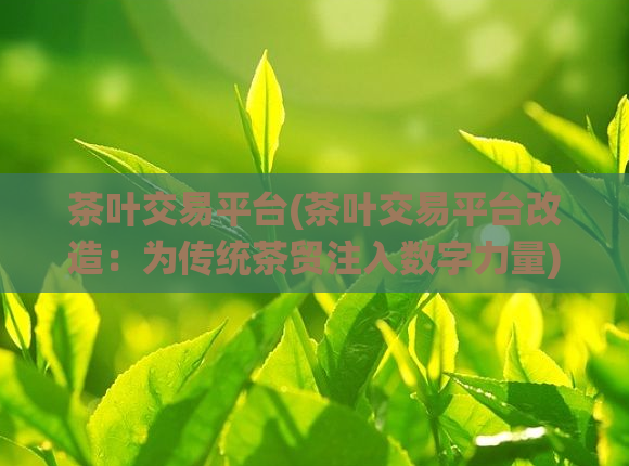 茶叶交易平台(茶叶交易平台改造：为传统茶贸注入数字力量)