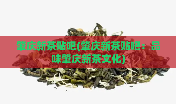 肇庆新茶贴吧(肇庆新茶贴吧：品味肇庆新茶文化)