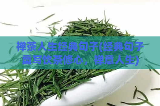 禅茶人生经典句子(经典句子重写饮茶修心，禅意人生)