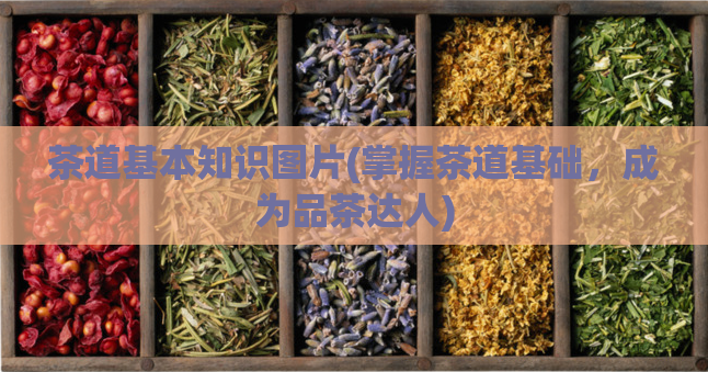 茶道基本知识图片(掌握茶道基础，成为品茶达人)