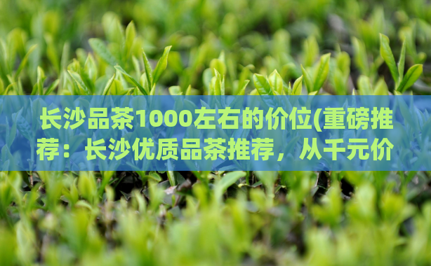长沙品茶1000左右的价位(重磅推荐：长沙优质品茶推荐，从千元价位开始！)
