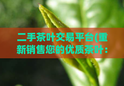 二手茶叶交易平台(重新销售您的优质茶叶:二手茶叶平台)