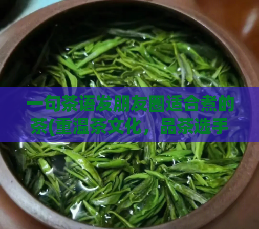 一句茶语发朋友圈适合煮的茶(重温茶文化，品茶选手的3种茶推荐！)